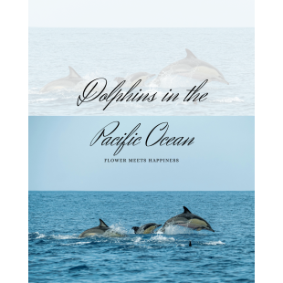 Dolphins in the Pacific Ocean.png